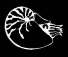 natlogo.jpg (1574 byte)