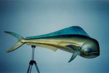 Animal models gallery